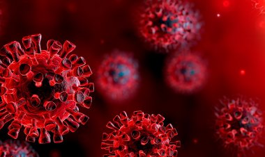 मध्यप्रदेश में हुआ कोरोना का विस्फोट