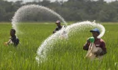 डीएपी और यूरिया पर दी जाने वाली सब्सिडी पर किसानों ने उठाए सवाल कहा सब्सिडी की राशि किसानों के खाते में  सीधे दी जाए और किसानों को जैविक खाद की तरफ प्रोत्साहित किया जाए !