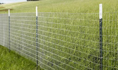 खेतों की तारबंदी के लिए किसानों को मिले सब्सिडी