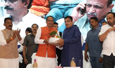 नितिन गडकरी एक कुशल राजनीतिज्ञ या एक सफल व्यवसायी