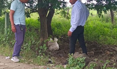 खजराना थाना क्षेत्र में  मिली कटी लाश