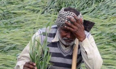 नहीं हो पा रहा गेहूं का पंजीयन किसान हो रहे परेशान