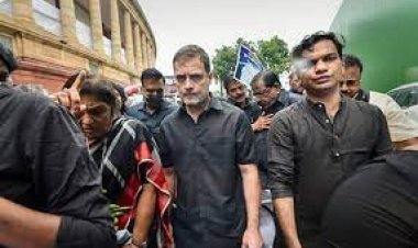 "मोदी उपनाम" की सजा के बाद राहुल गाँधी अब सांसद नहीं