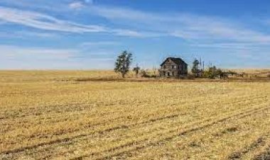 क्या वाकई मध्यप्रदेश में लैंड पुलिंग कानून होगा निरस्त  