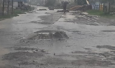 स्वछता के ताज पर कहीं दाग न बन जाये पॉश कॉलोनी महालक्ष्मी नगर