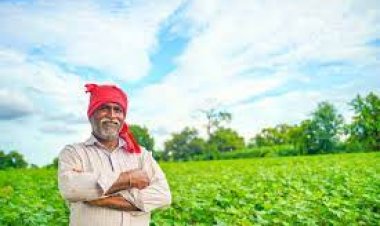 क्या एमपी में खत्म हो रहा है लैंड पुलिंग एक्ट..?