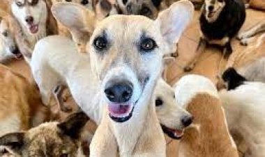 सावधान : महालक्ष्मी में पैदल चल रहे हैं तो हो जाएँ सचेत