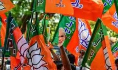 संघ ,सनातन और बहन