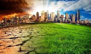 गर्मी से बचने के लिए सड़कों पर कृतिम वर्षा ,चौराहों पर नेट की चादर ,लेकिन पेड़ नहीं लगाने का भी संकल्प