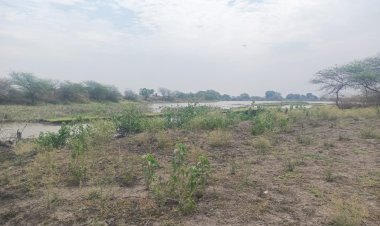 मुरादपुर तालाब पर राजनीतिक रसूख का कब्जा