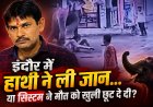 हाथी ने कुचला... या सिस्टम ने मौत को दे दी खुली छूट?