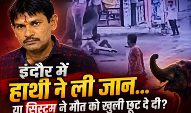 हाथी ने कुचला... या सिस्टम ने मौत को दे दी खुली छूट?