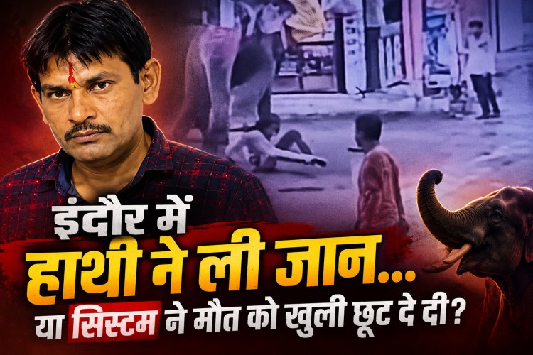 हाथी ने कुचला... या सिस्टम ने मौत को दे दी खुली छूट?
