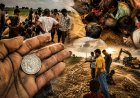 मुरैना में एक्सप्रेस-वे की मिट्टी में मिला चांदी का ‘खजाना’? खबर फैली तो खुरपी-हंसिया लेकर पूरा गांव टूट पड़ा